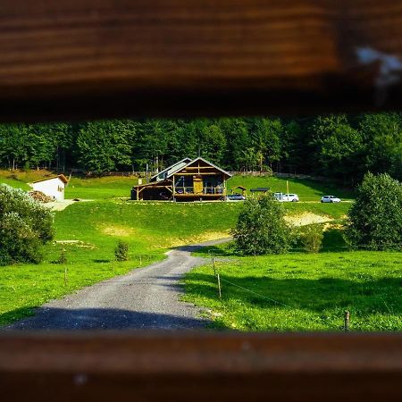 Valley House Cabana Cu Priveliste De Vis Sita Buzaului Exterior foto