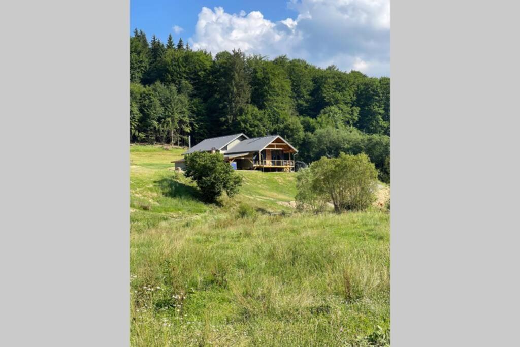 Valley House Cabana Cu Priveliste De Vis Sita Buzaului Exterior foto