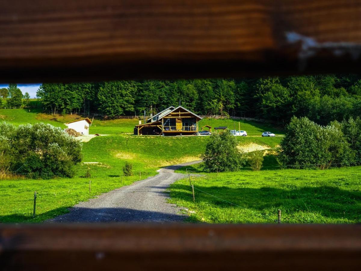 Valley House Cabana Cu Priveliste De Vis Sita Buzaului Exterior foto